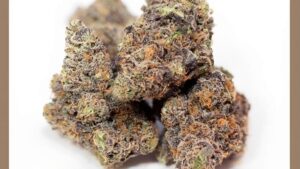 Are gush mints strain sweet as candy? Gush mints strain